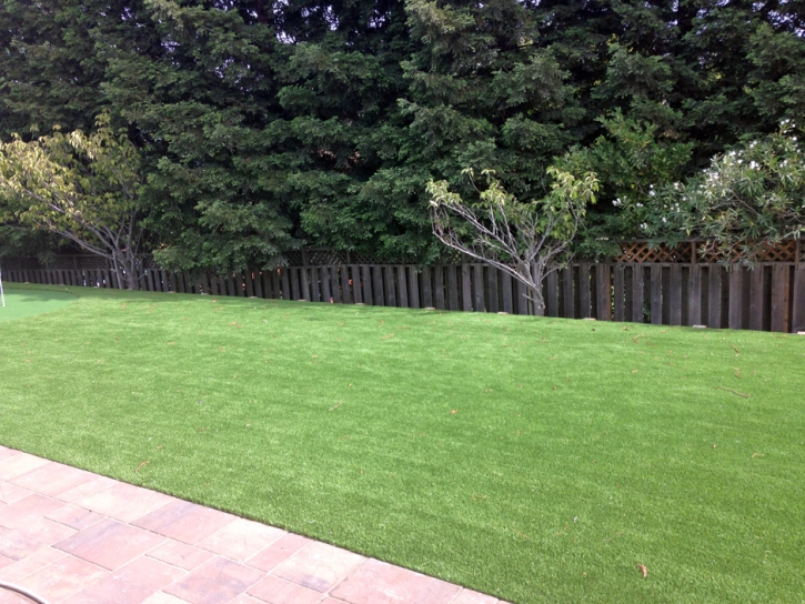 Artificial Turf Salton Sea Beach California Landscape Pavers