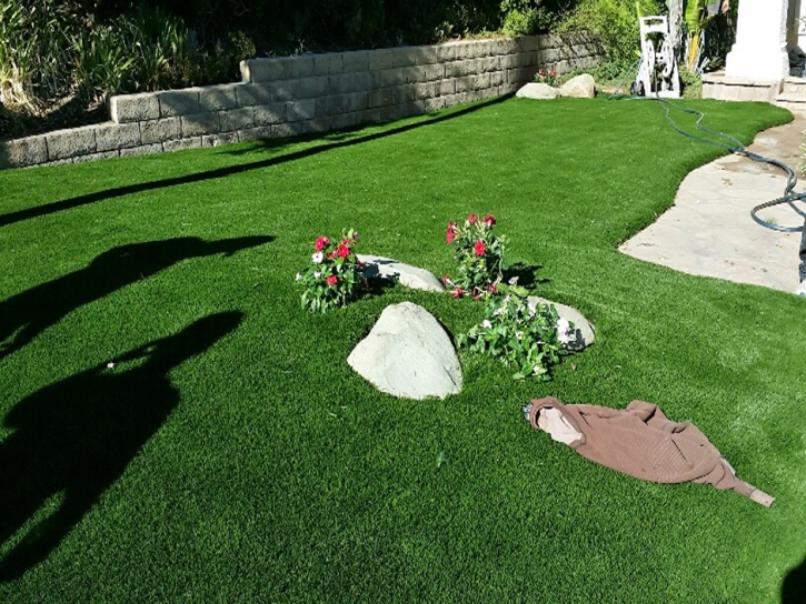Artificial Turf San Jacinto California Lawn