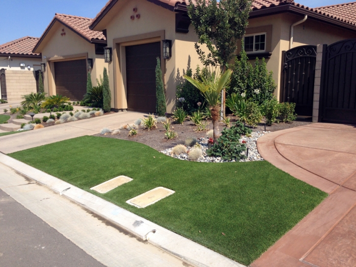 Artificial Turf San Pasqual California Lawn Parks
