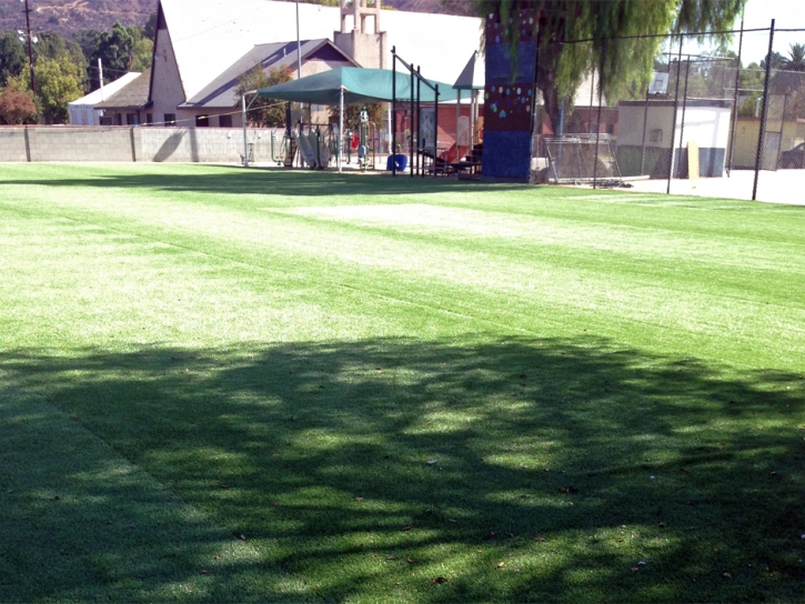 Artificial Turf Sports Fields Indian Wells California Back