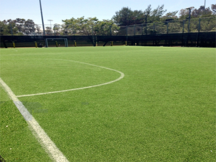 Artificial Turf Sports Fields Ramona California Back Yard