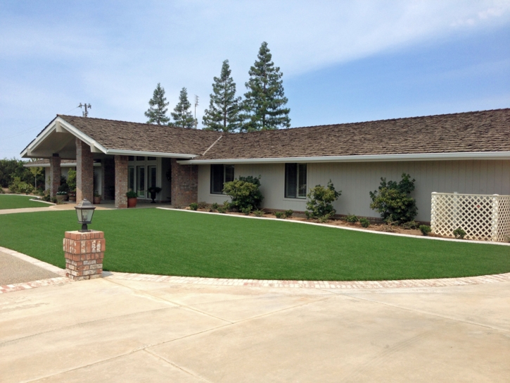 Artificial Turf Valley Center California Landscape Front