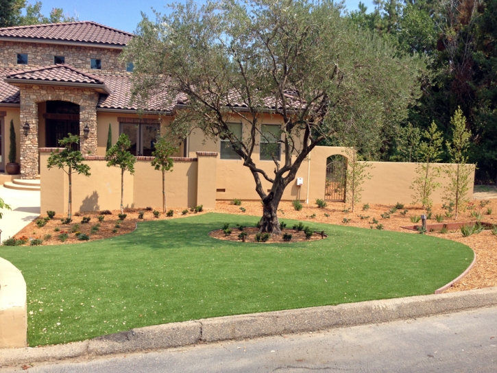 Artificial Turf Vista California Lawn Front Yard