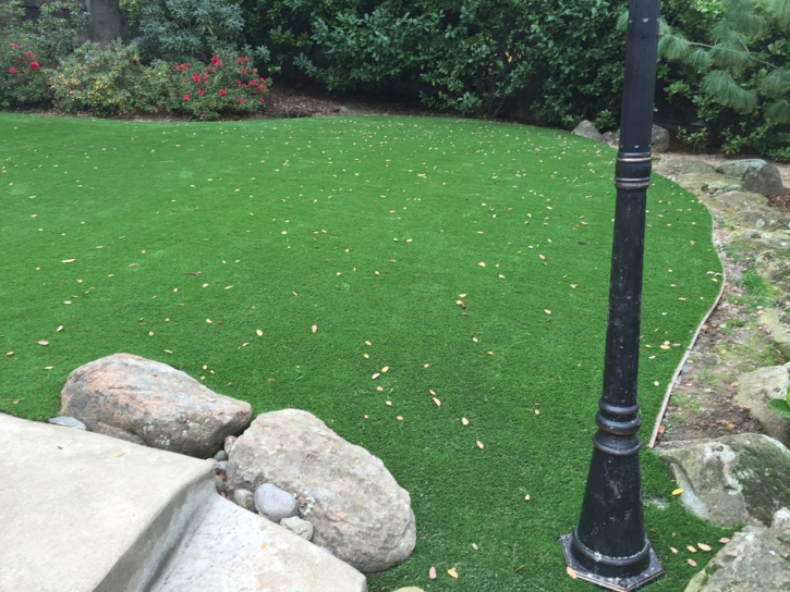 Fake Grass Artesia California Landscape