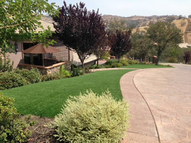 Fake Grass Camp Pendleton South California Lawn Front Yard