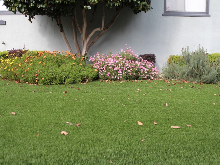 Fake Grass Chino Hills California Lawn