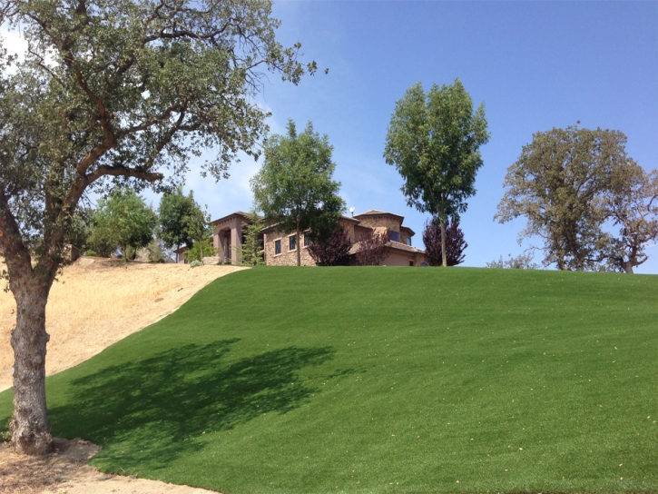 Fake Grass Chula Vista California Landscape Front Yard