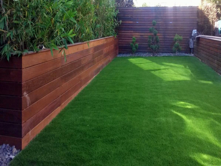 Fake Grass Dana Point California Landscape Commercial Landscape