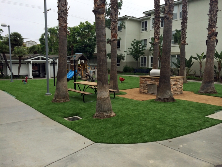 Fake Grass Del Mar California Landscape Front Yard