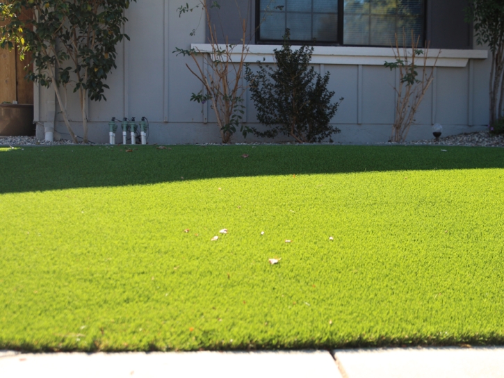 Fake Grass East La Mirada California Landscape