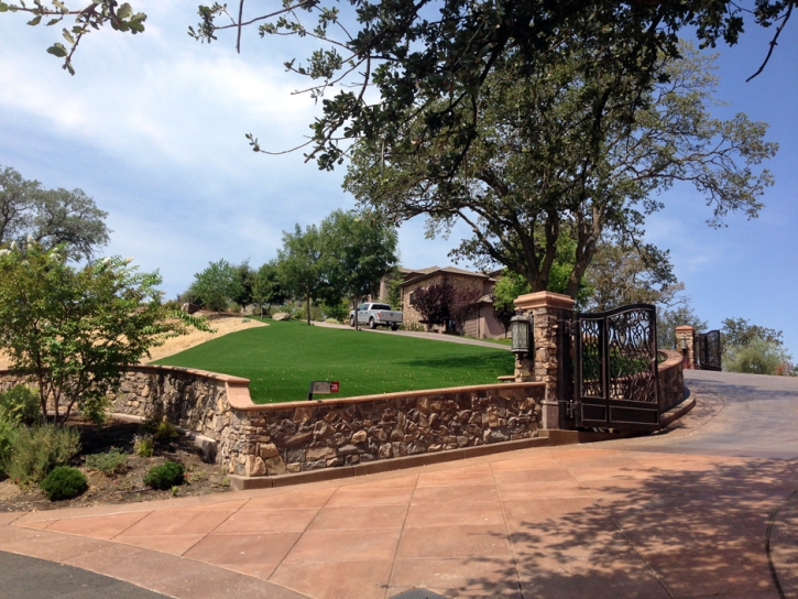 Fake Grass El Cerrito California Landscape Front Yard