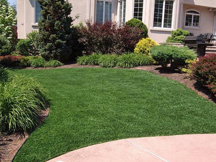 Fake Grass Encinitas California Landscape Commercial Landscape