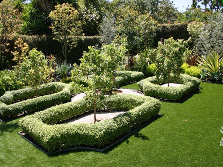 Fake Grass Foothill Ranch California Landscape Back Yard