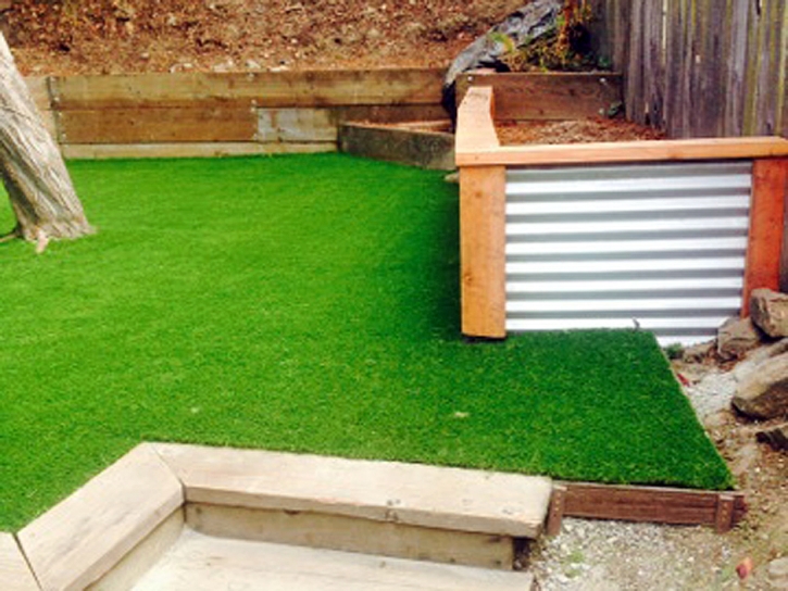 Fake Grass Green Acres California Landscape Dog Kennels