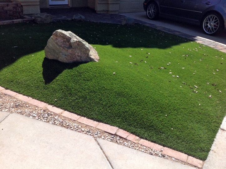 Fake Grass Huntington Beach California Landscape Back Yard
