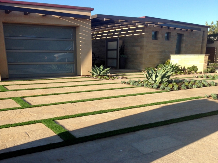 Fake Grass Laguna Hills California Lawn Back Yard