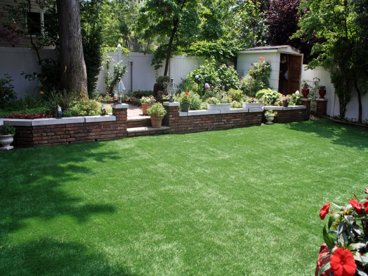 Fake Grass Laguna Niguel California Landscape Back Yard