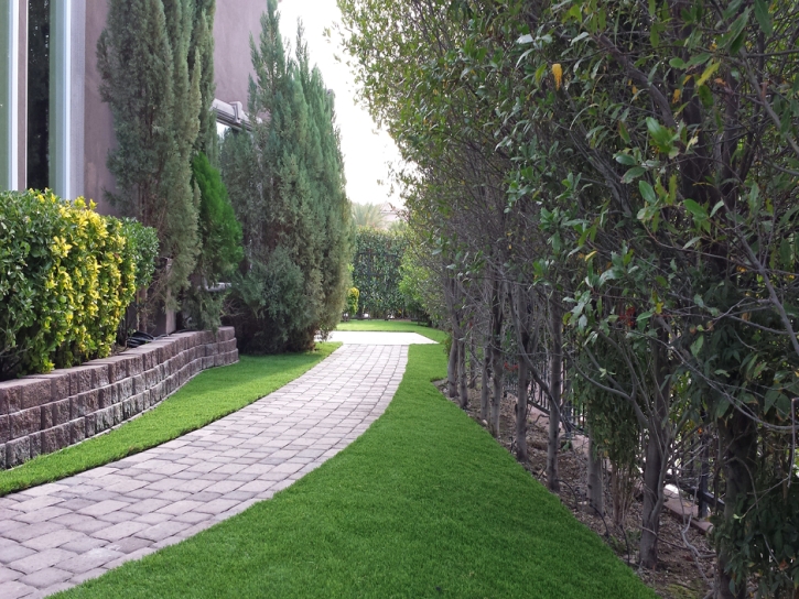 Fake Grass Lakeland Village California Landscape Back Yard