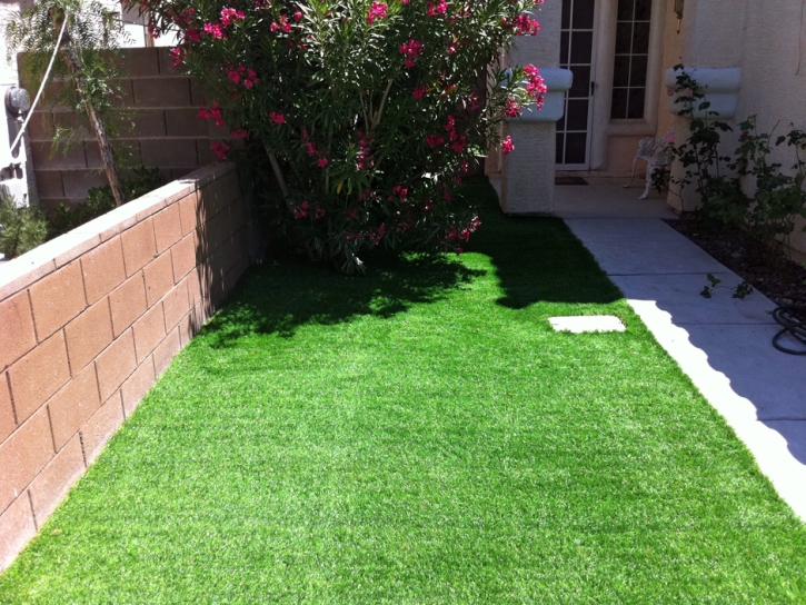 Fake Grass Lakeland Village California Landscape Front