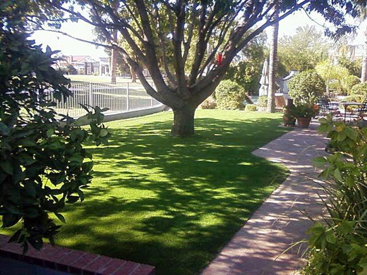 Fake Grass Mission Viejo California Lawn Back Yard