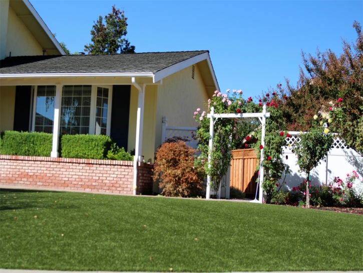 Fake Grass Nuevo California Landscape Commercial Landscape
