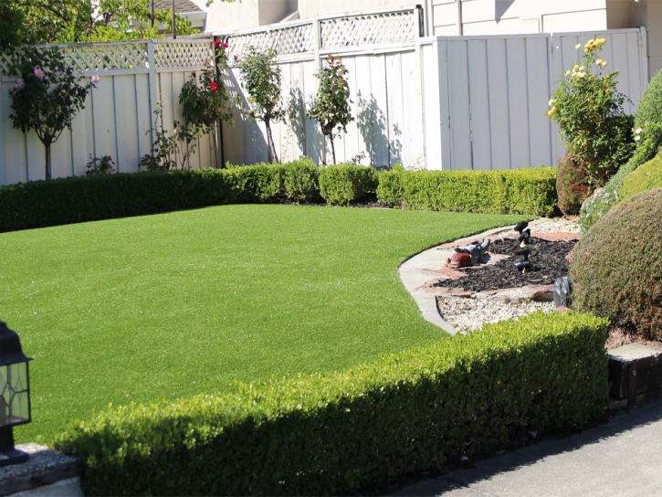 Fake Grass Oasis California Lawn Back Yard