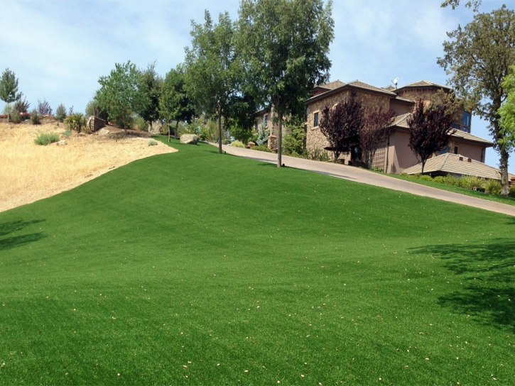 Fake Grass Oceanside California Landscape Back Yard