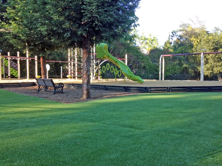 Fake Grass Oceanside California School Commercial Landscape