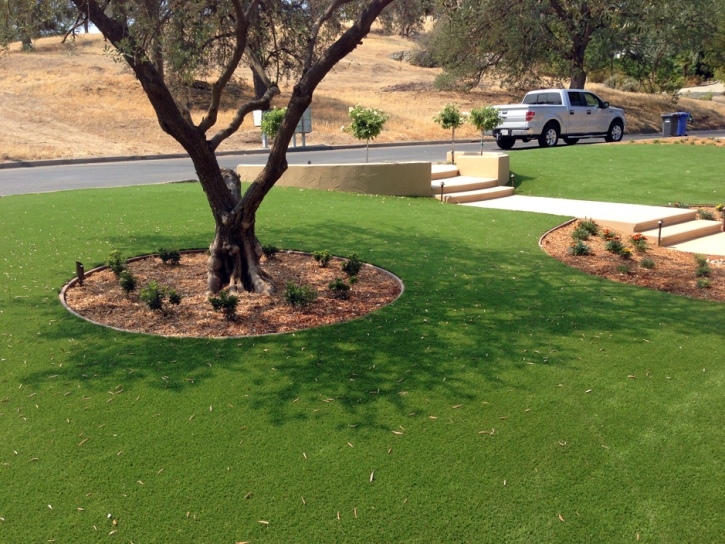 Fake Grass Quail Valley California Landscape Parks