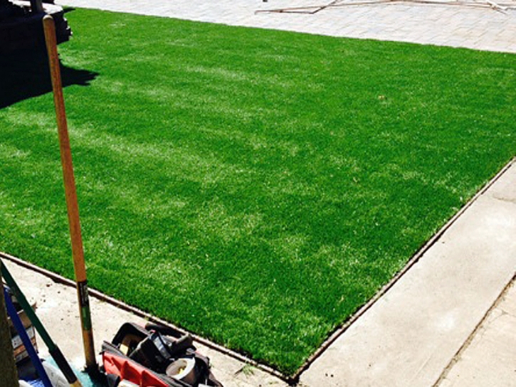 Fake Grass Romoland California Landscape