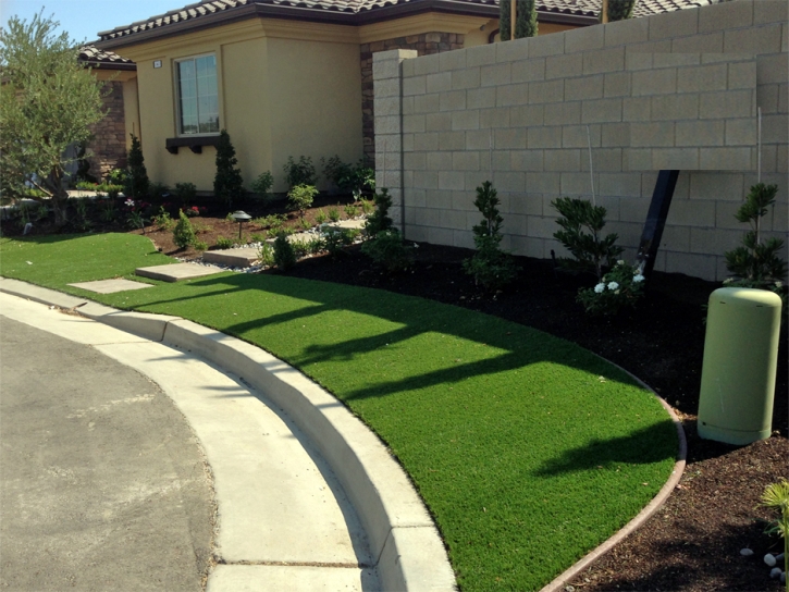 Fake Grass Salton City California Landscape Back Yard