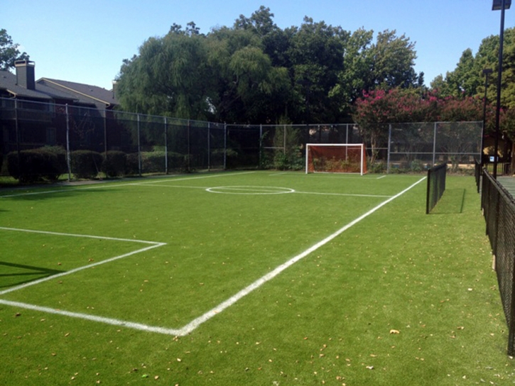 Fake Grass School Stadium Harbison Canyon California Back