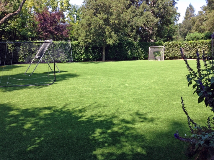 Fake Grass School Stadium Julian California Front Yard