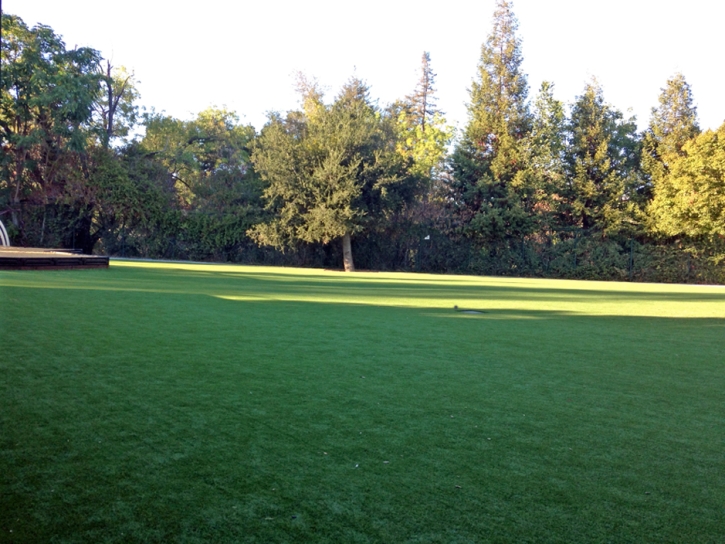 Fake Grass Valley Center California Lawn Front Yard