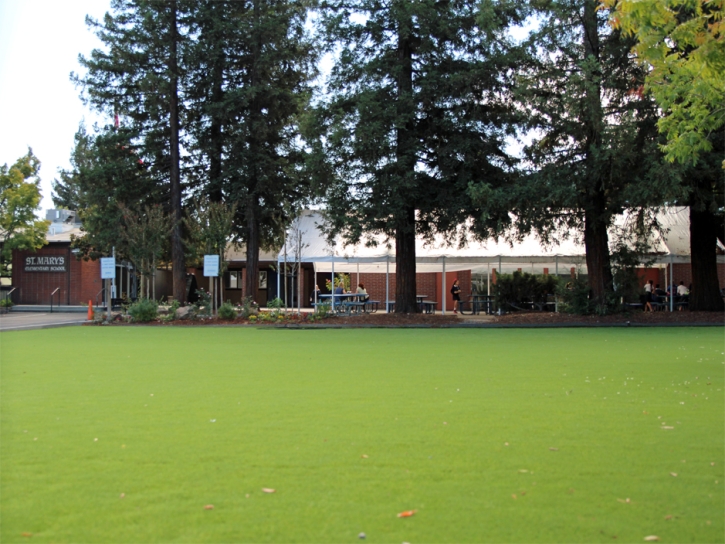 Fake Grass Yorba Linda California Kindergarten Back Yard