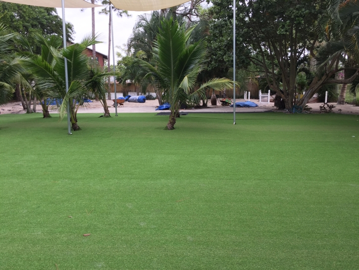 Fake Lawn Bostonia, California Rooftop, Commercial Landscape