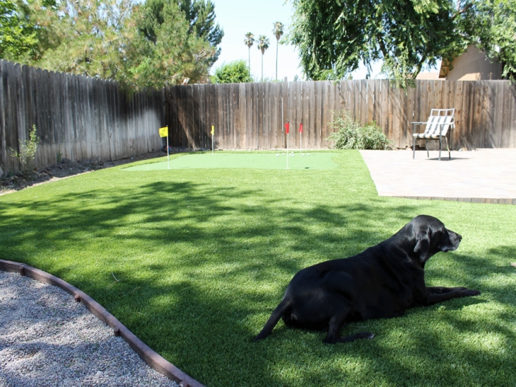 Fake Pet Grass La Habra California for Dogs