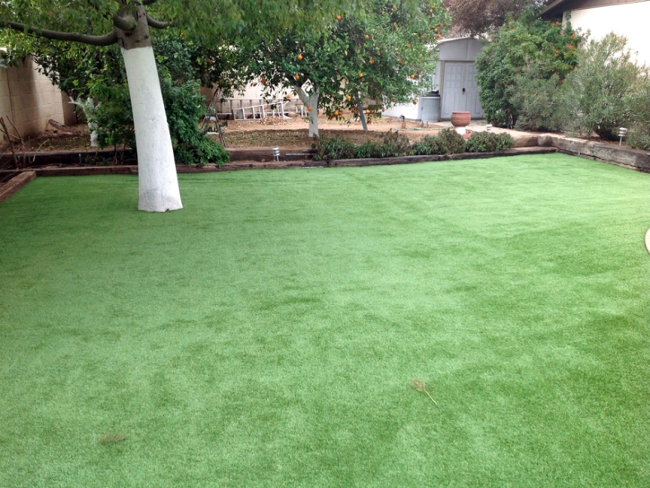 Fake Turf Alpine Village California Landscape Front Yard
