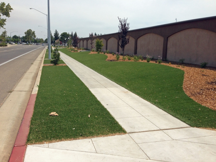 Fake Turf Bonsall California Lawn Back Yard