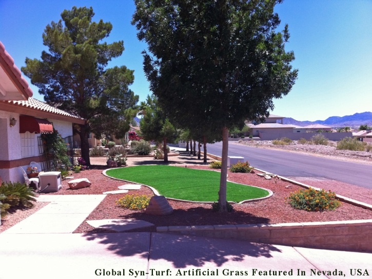 Fake Turf Coronado California Lawn