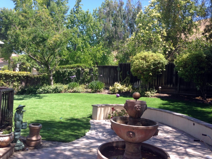 Fake Turf Del Mar California Landscape Front Yard
