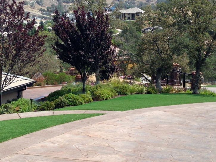 Fake Turf El Cerrito California Landscape Back Yard