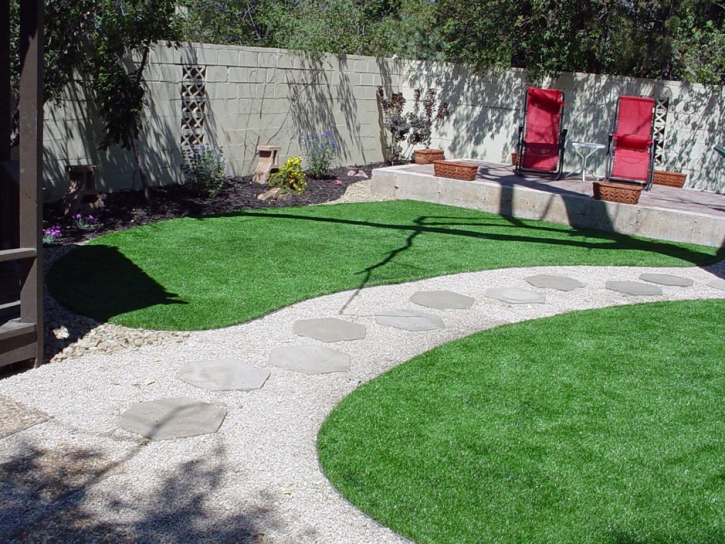 Fake Turf Fallbrook California Landscape Back Yard