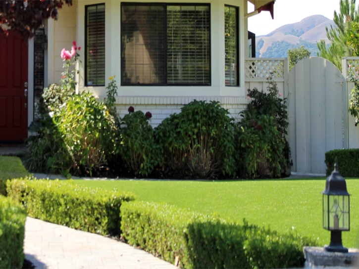 Fake Turf Fountain Valley California Lawn Back Yard