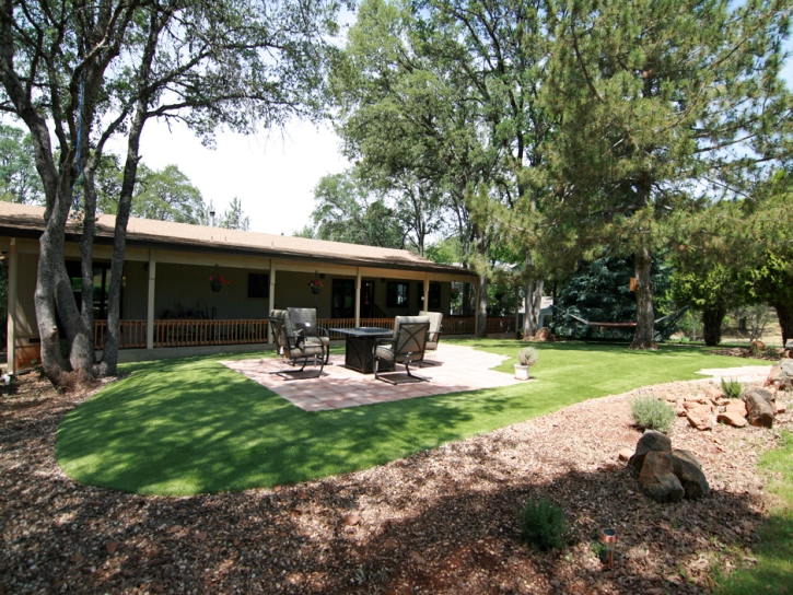 Fake Turf Granite Hills California Lawn Back Yard