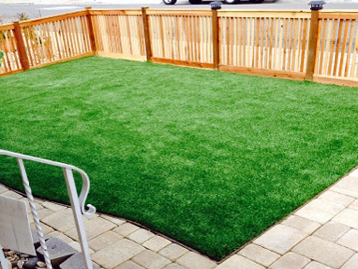 Fake Turf Laguna Woods California Landscape Back Yard