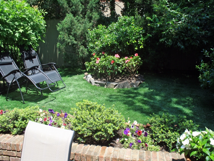 Fake Turf Lake Elsinore California Landscape Back Yard