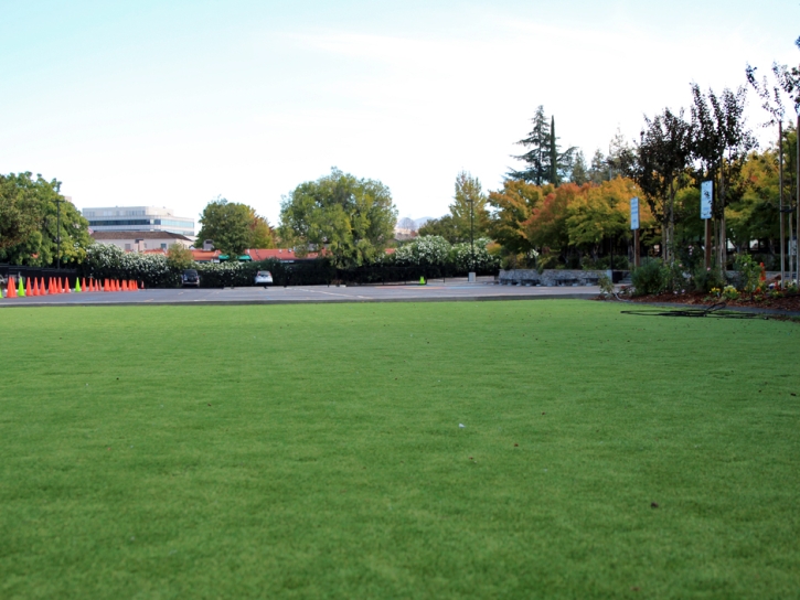 Fake Turf Lakeview California Kindergarten Front Yard