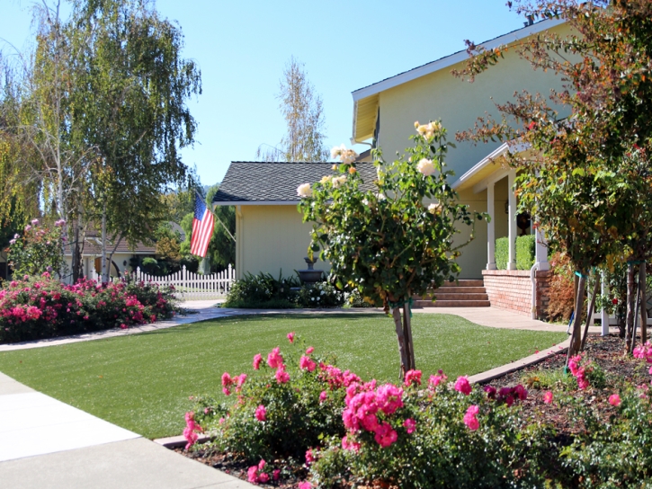 Fake Turf Mead Valley California Landscape Front Yard