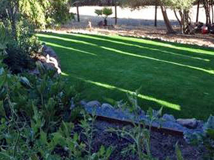 Fake Turf Menifee California Lawn Back Yard